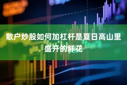 散户炒股如何加杠杆是夏日高山里盛开的鲜花
